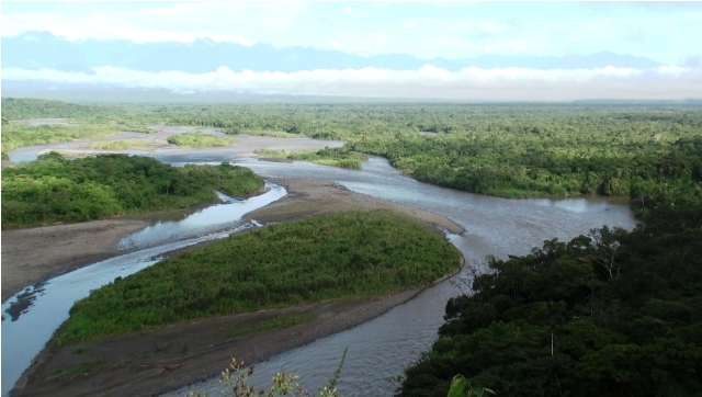 Ecuador. Amazonia