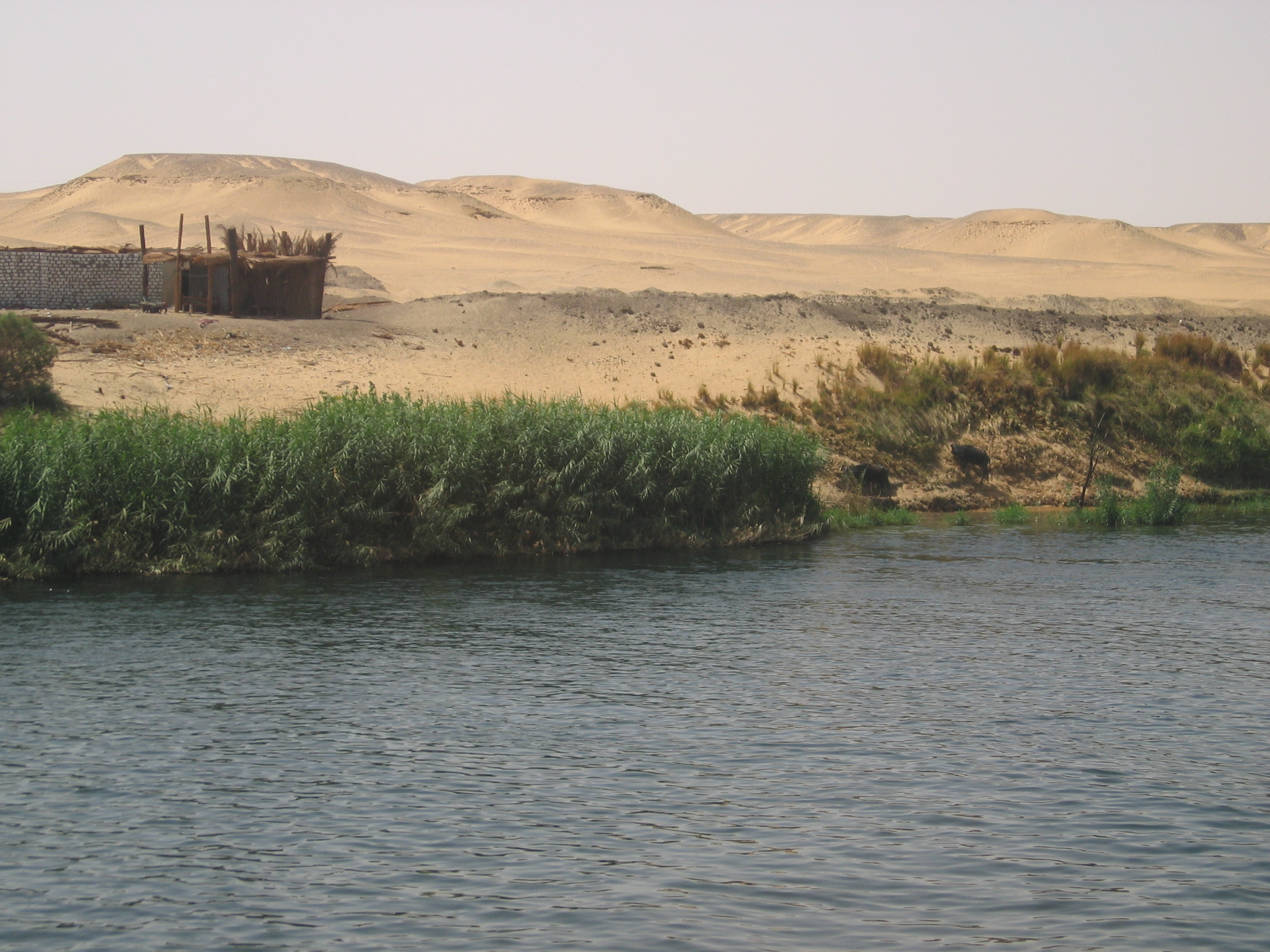 Egipto, 2007. Crucero por el Nilo. 