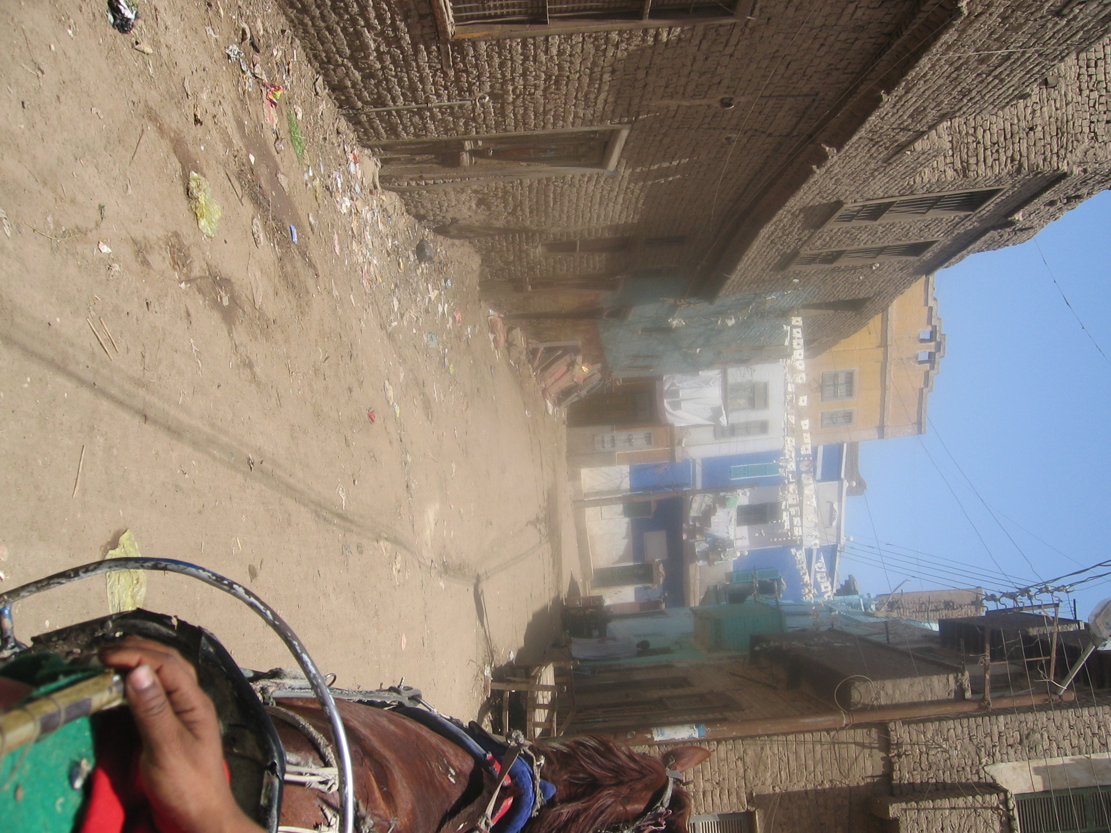 Egipto, 2007. Crucero por el Nilo. 