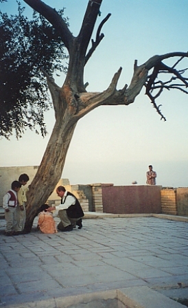 Iraq. El árbol de la Ciencia