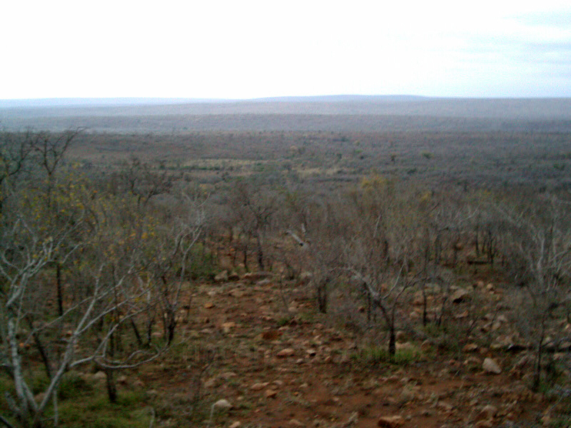 Kruger 2003. Un parque inmenso