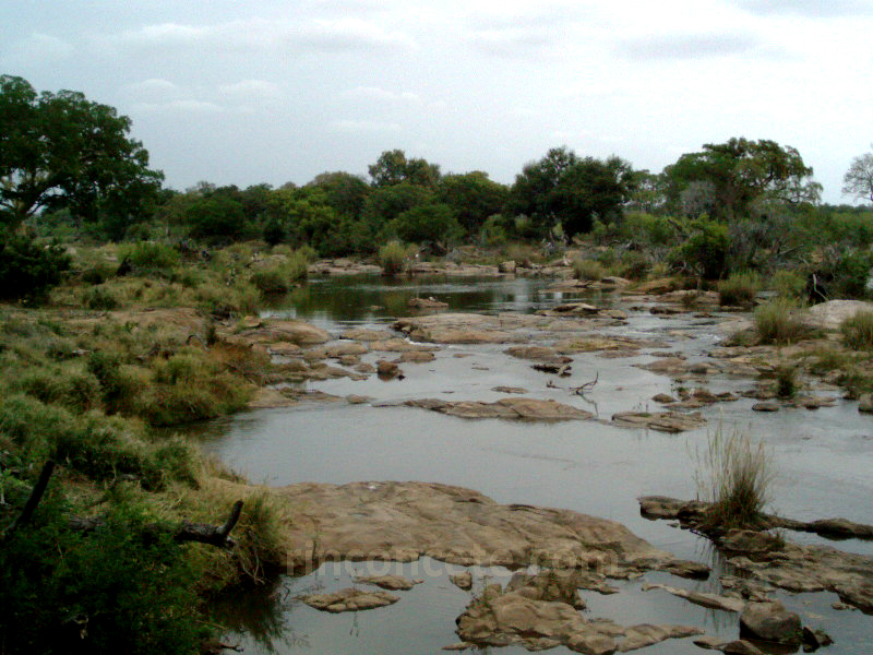 Kruger,2003. Cruzando el río