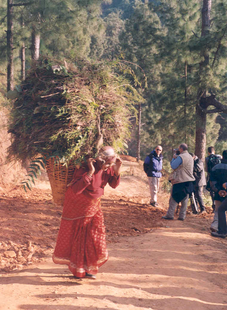 Nepal, 2004. Camino de Methinkot. Mujer cargada con leña